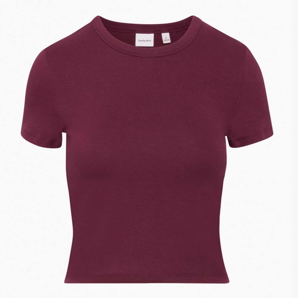 Aritzia Marooned Red Cropped T-Shirt